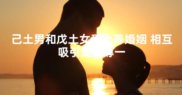 己土男和戊土女爲上等婚姻 相互吸引愛情專一